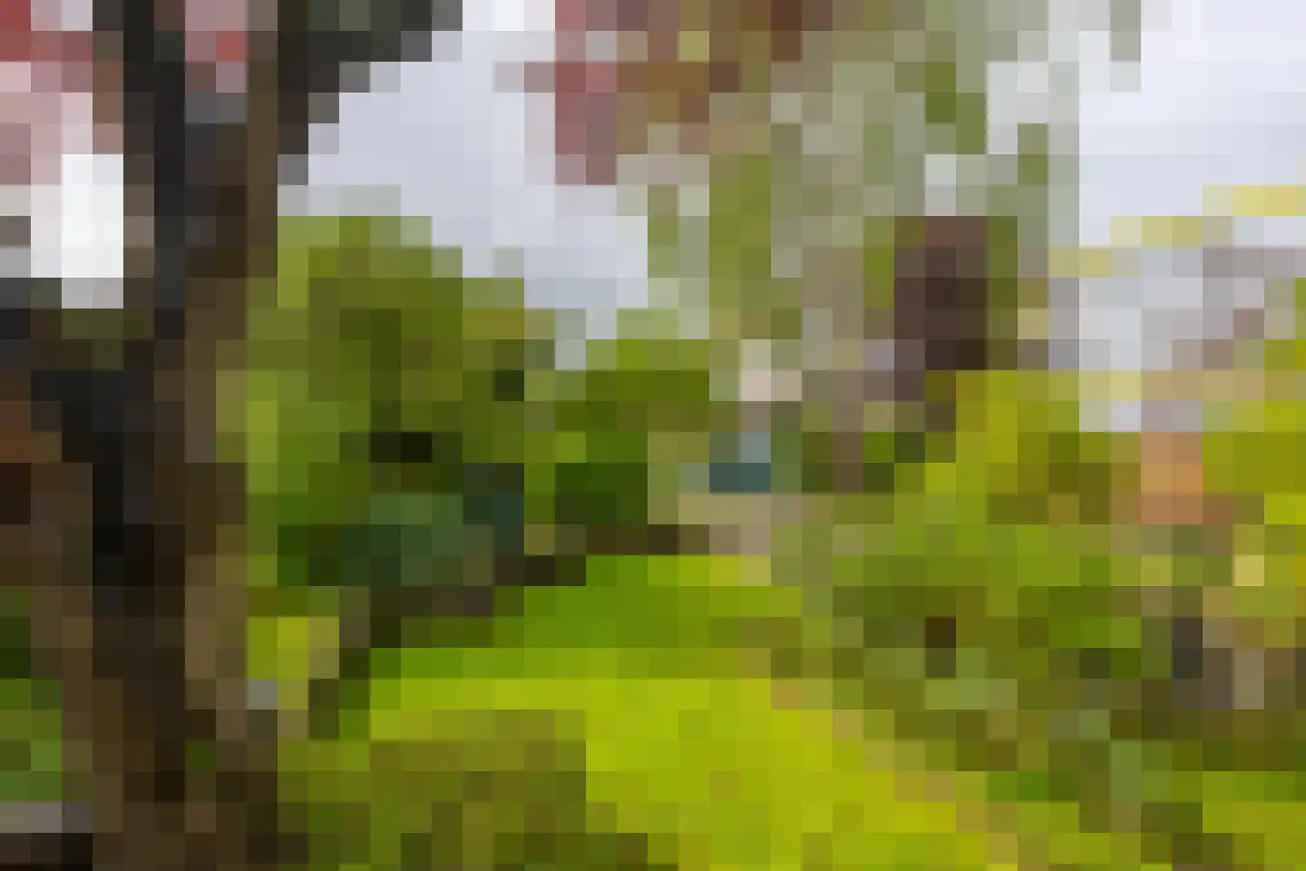 Van Hogendorpstraat 15 Maarssen thumbnail 22