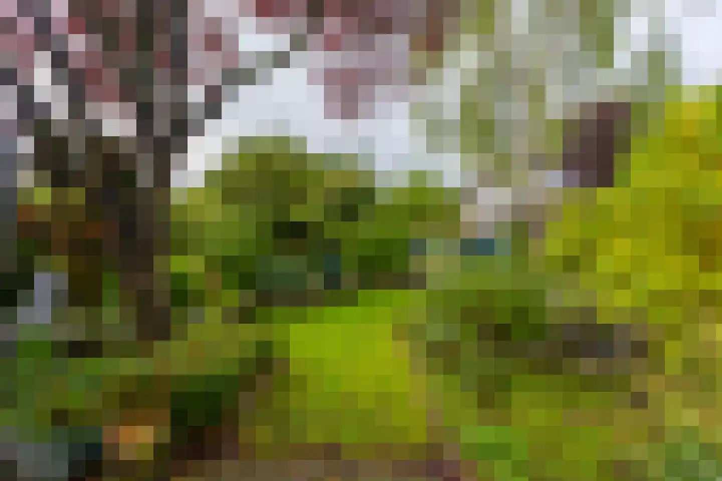 Van Hogendorpstraat 15 Maarssen thumbnail 23