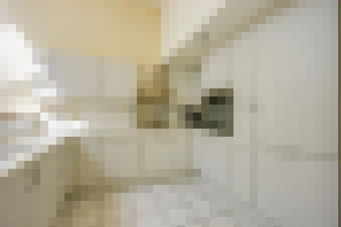 Van Hogendorpstraat 15 Maarssen thumbnail 27