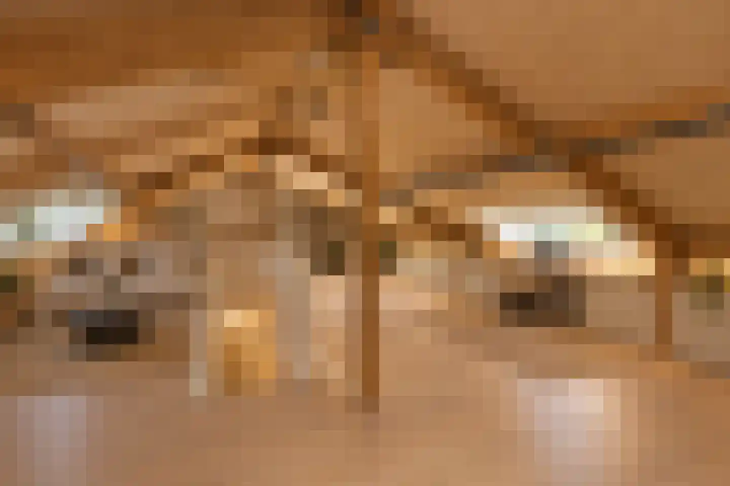 Van Hogendorpstraat 15 Maarssen thumbnail 48