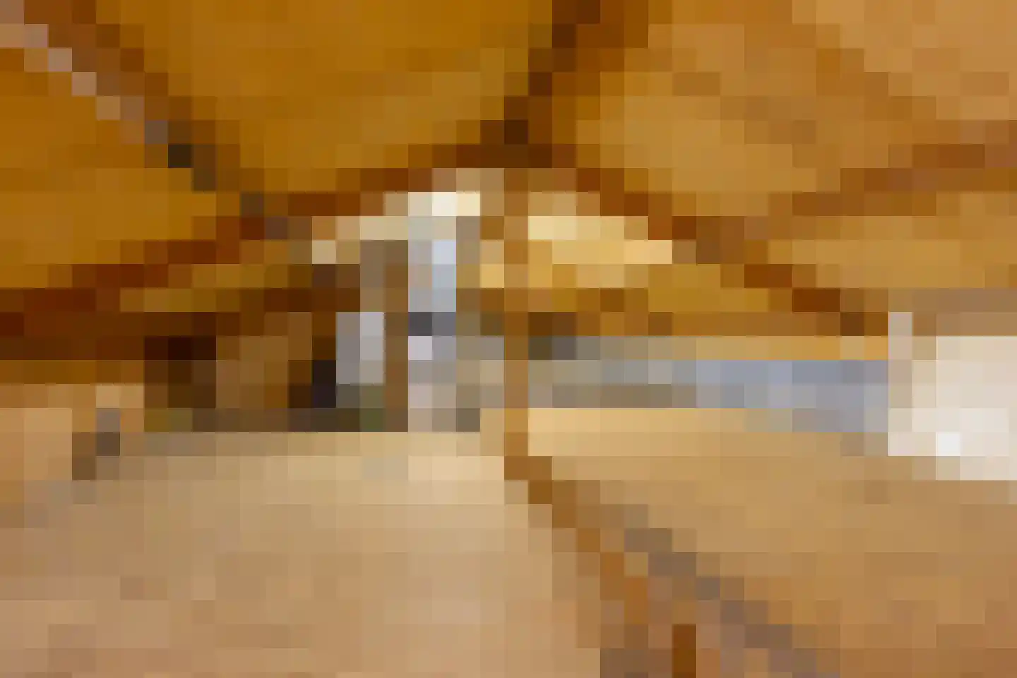Van Hogendorpstraat 15 Maarssen thumbnail 49