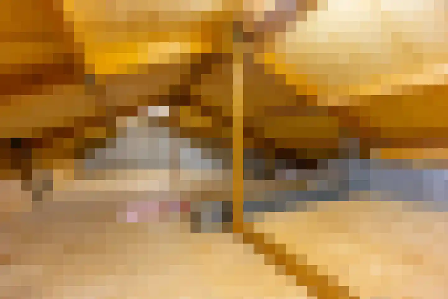 Van Hogendorpstraat 15 Maarssen thumbnail 50