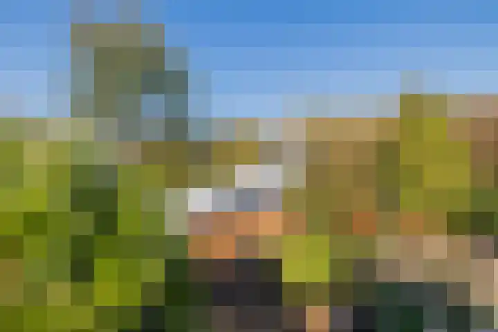 Van Hogendorpstraat 153 3 Amsterdam thumbnail 34