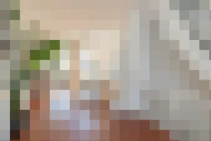 Van Hogendorpstraat 153 3 Amsterdam thumbnail 9