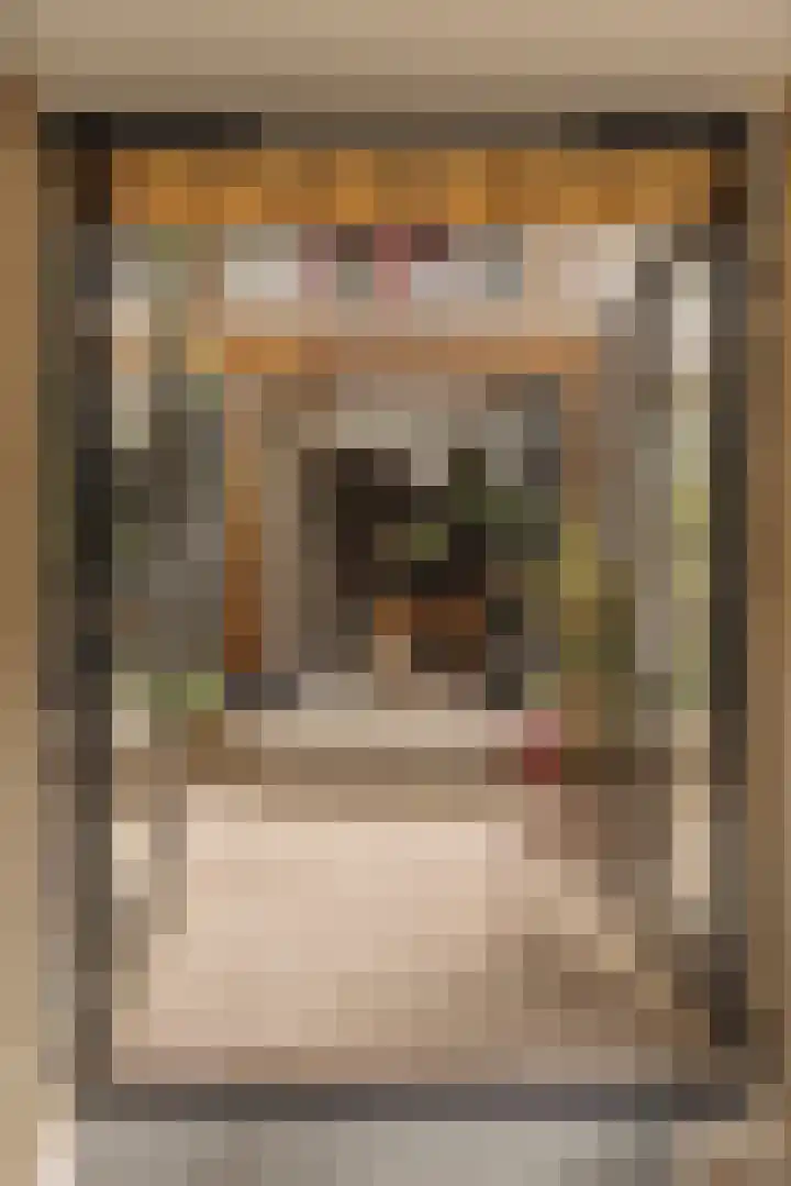 Van Hogendorpstraat 158 1 Amsterdam thumbnail 13