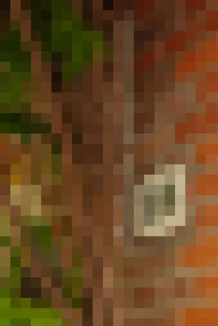 Van Hogendorpstraat 158 1 Amsterdam thumbnail 29