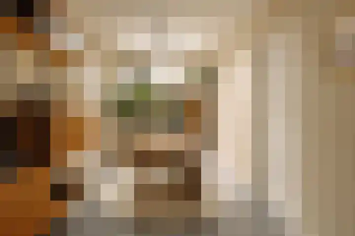 Van Hogendorpstraat 158 1 Amsterdam thumbnail 37