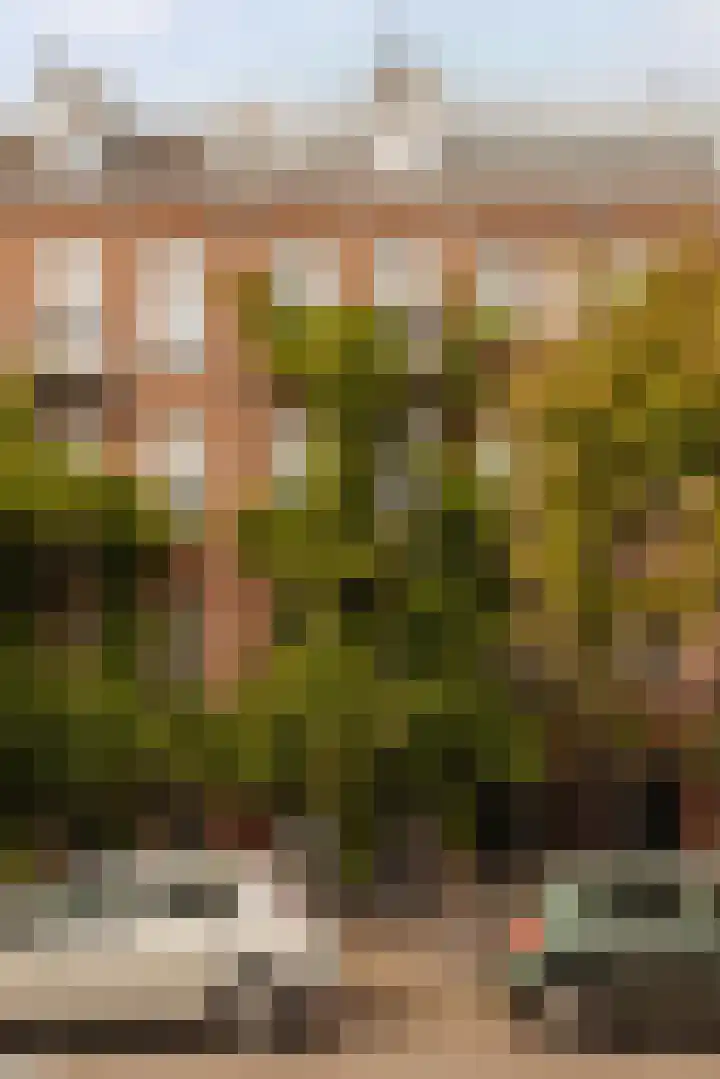 Van Hogendorpstraat 158 1 Amsterdam thumbnail 7