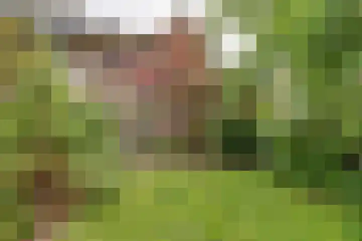 Van Hogendorpstraat 16 Veenendaal thumbnail 22