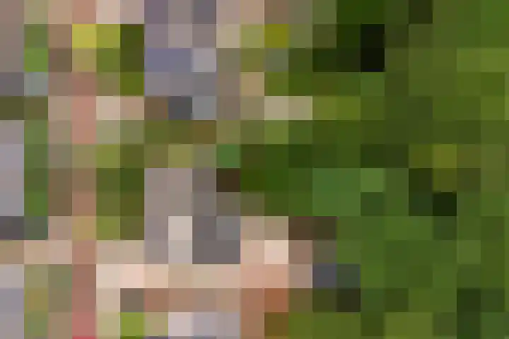 Van Hogendorpstraat 16 Veenendaal thumbnail 4