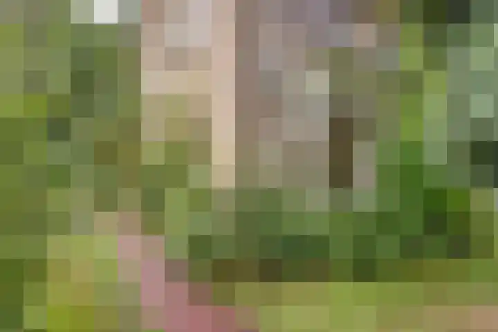 Van Hogendorpstraat 16 Veenendaal thumbnail 5