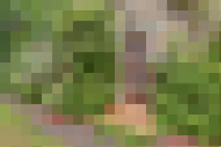Van Hogendorpstraat 16 Veenendaal thumbnail 6