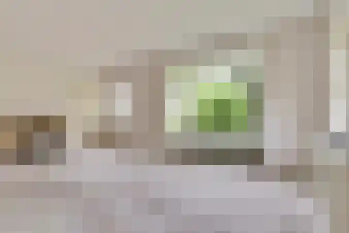 Van Hogendorpstraat 16 Veenendaal thumbnail 7