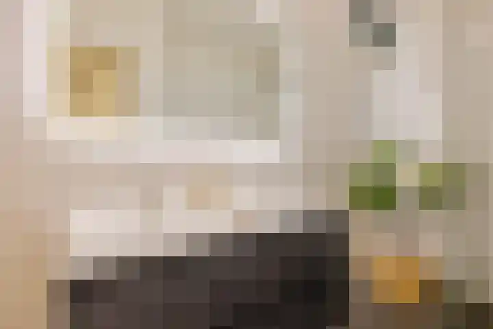 Van Hogendorpstraat 166 2 Amsterdam thumbnail 19