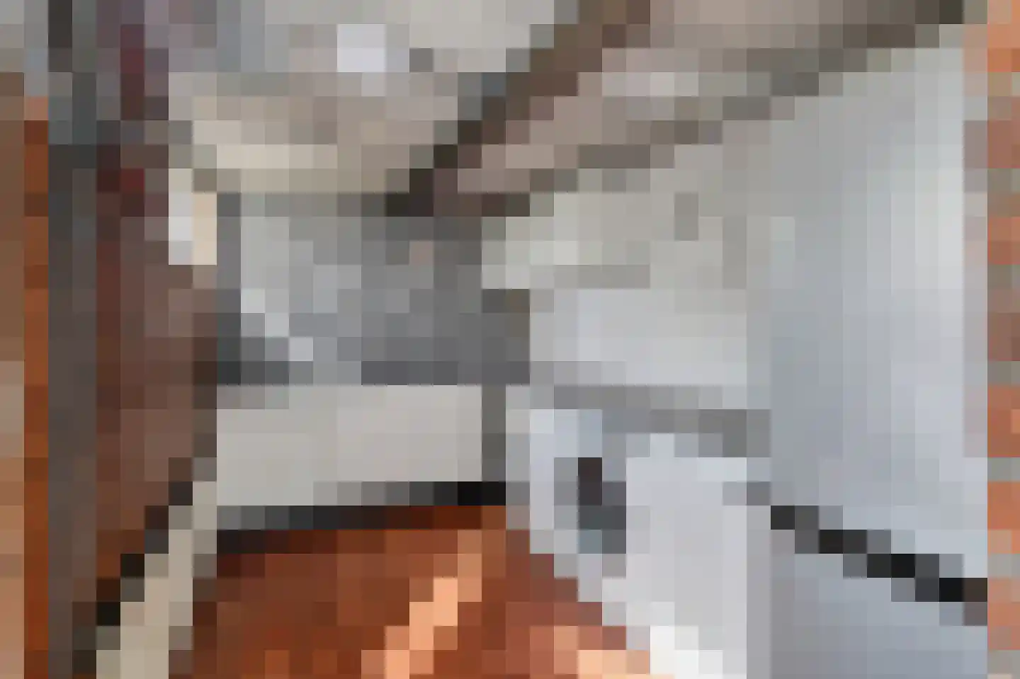 Van Hogendorpstraat 17 Veenoord thumbnail 16