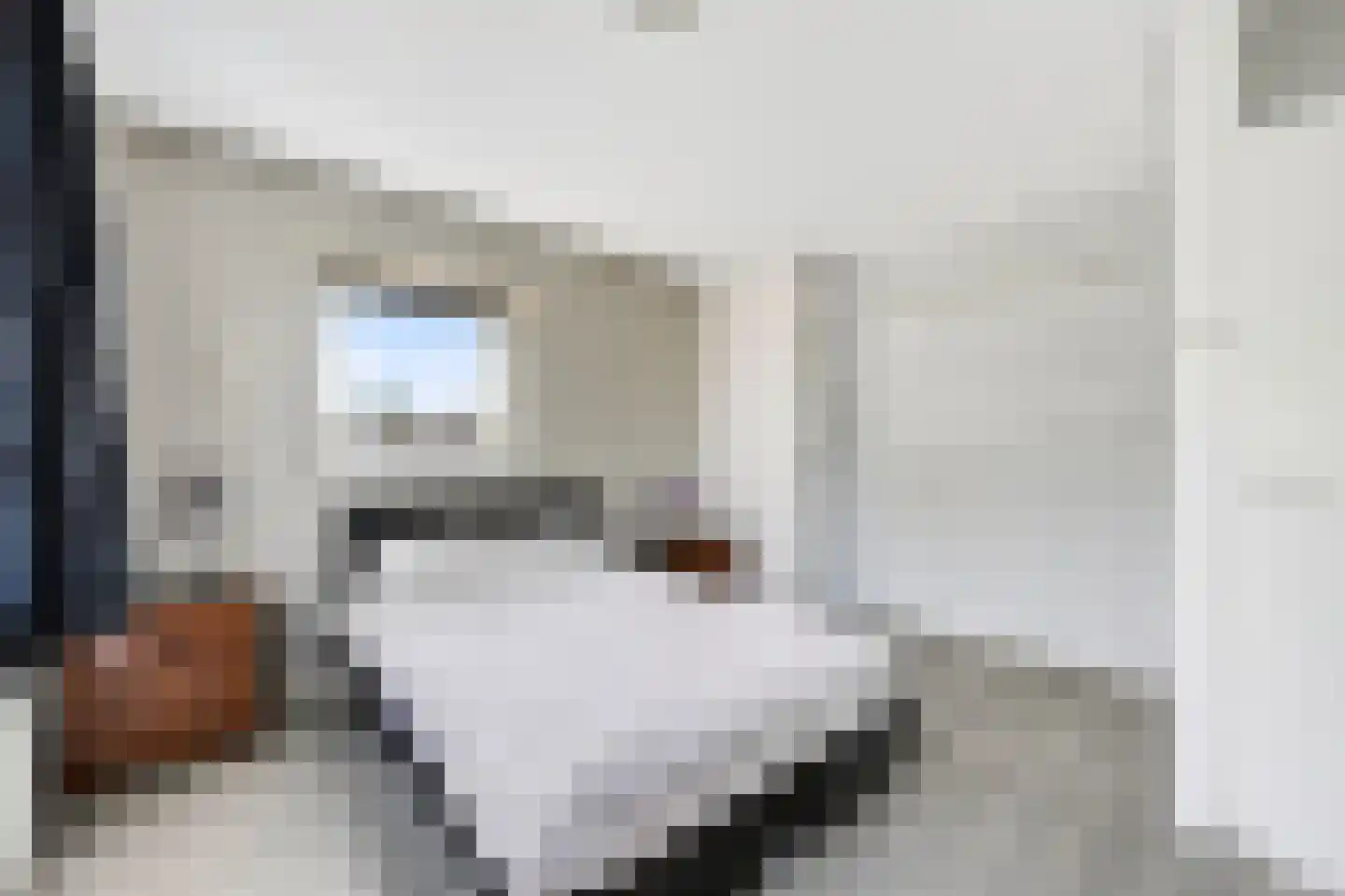 Van Hogendorpstraat 17 Veenoord thumbnail 18