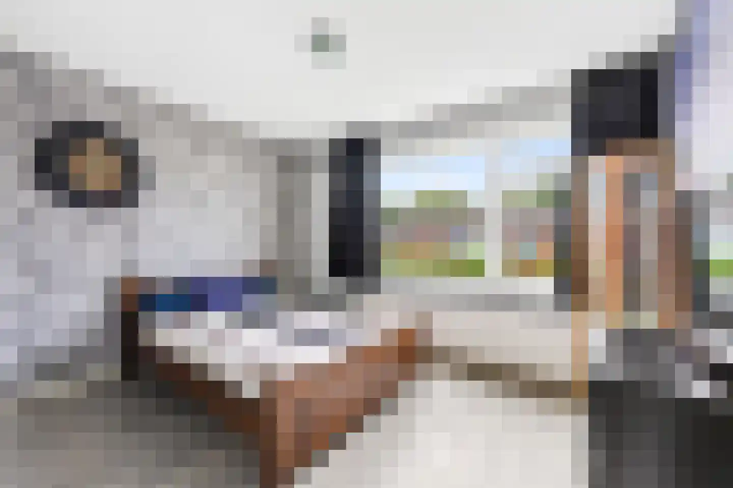 Van Hogendorpstraat 17 Veenoord thumbnail 20