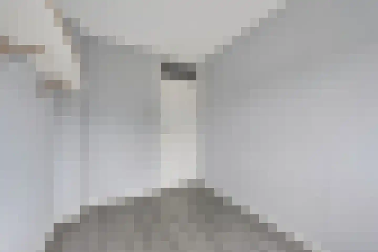 Van Hogendorpstraat 17 Veenoord thumbnail 26