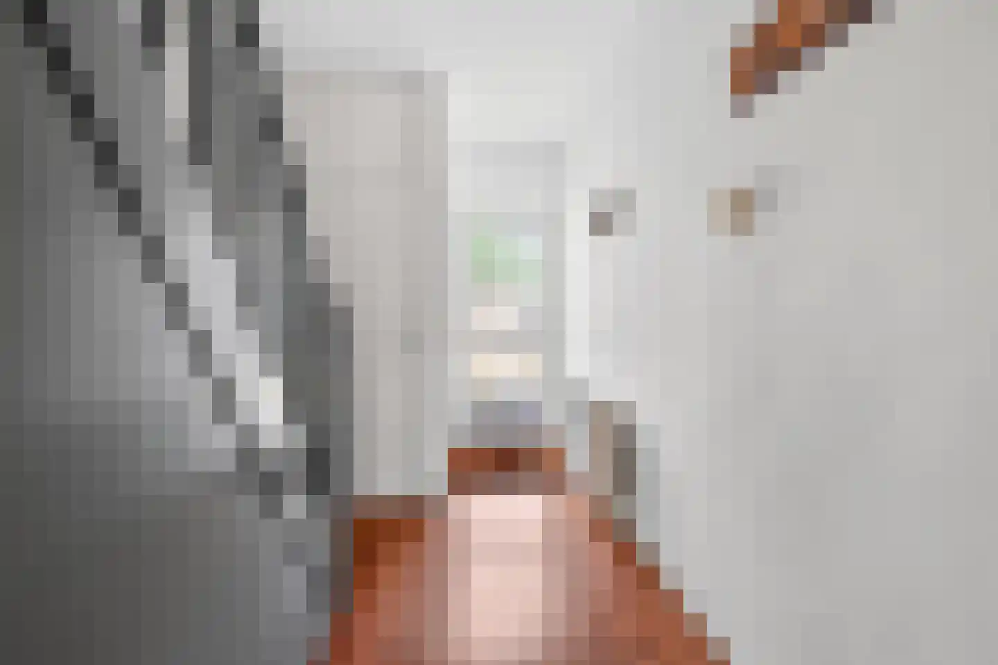 Van Hogendorpstraat 17 Veenoord thumbnail 5