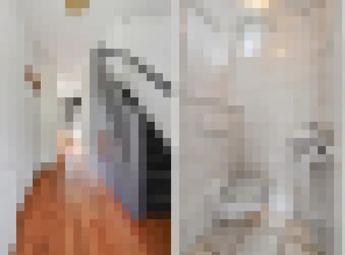 Van Hogendorpstraat 17 Veenoord thumbnail 6