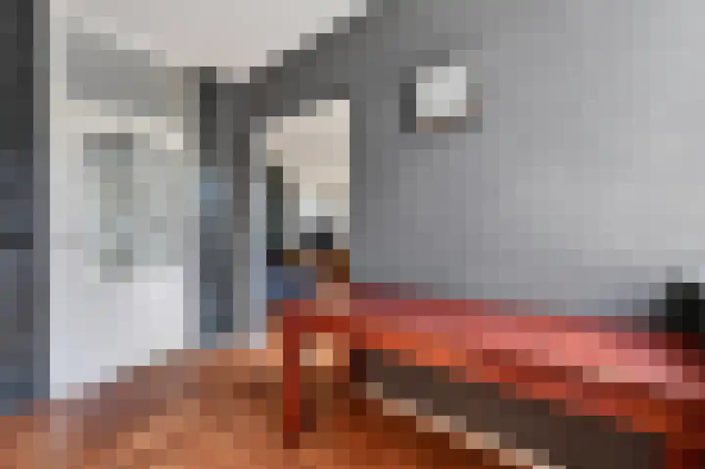 Van Hogendorpstraat 17 Veenoord thumbnail 9