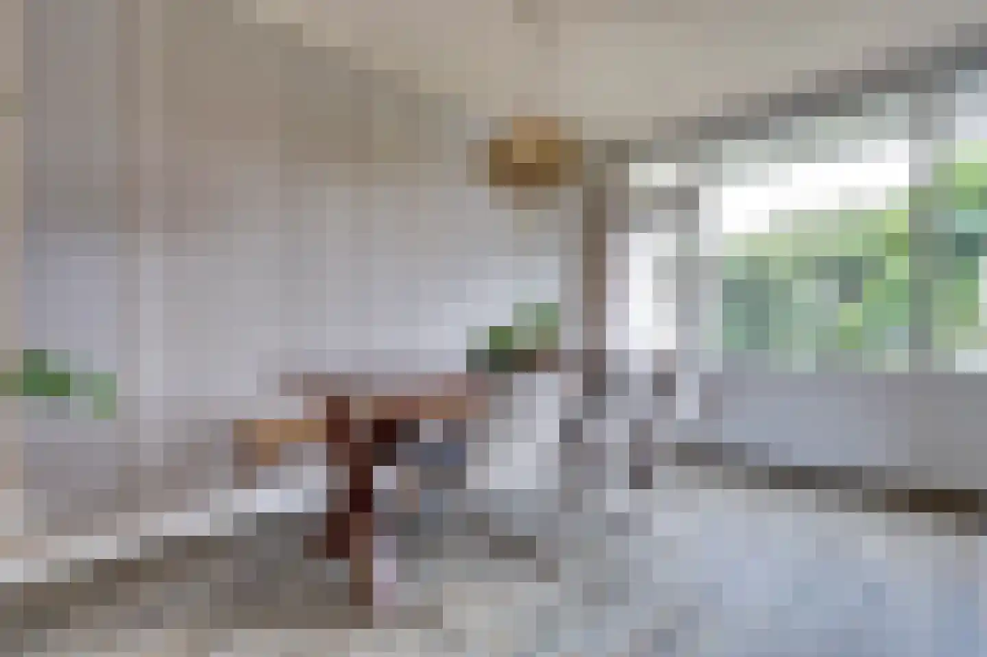 van Hogendorpstraat 18 Twello thumbnail 11