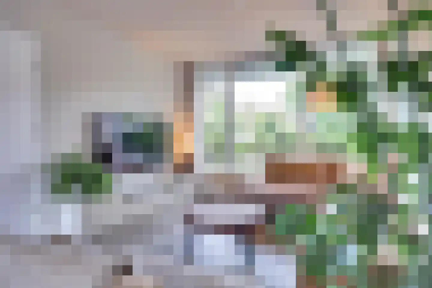 van Hogendorpstraat 18 Twello thumbnail 13