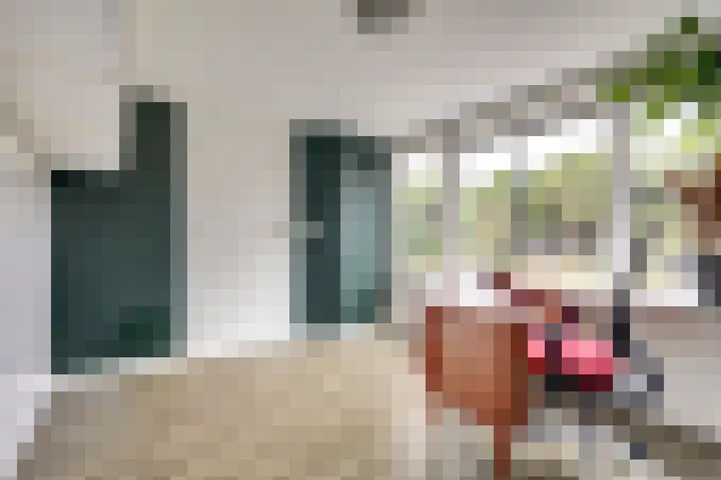 van Hogendorpstraat 18 Twello thumbnail 20