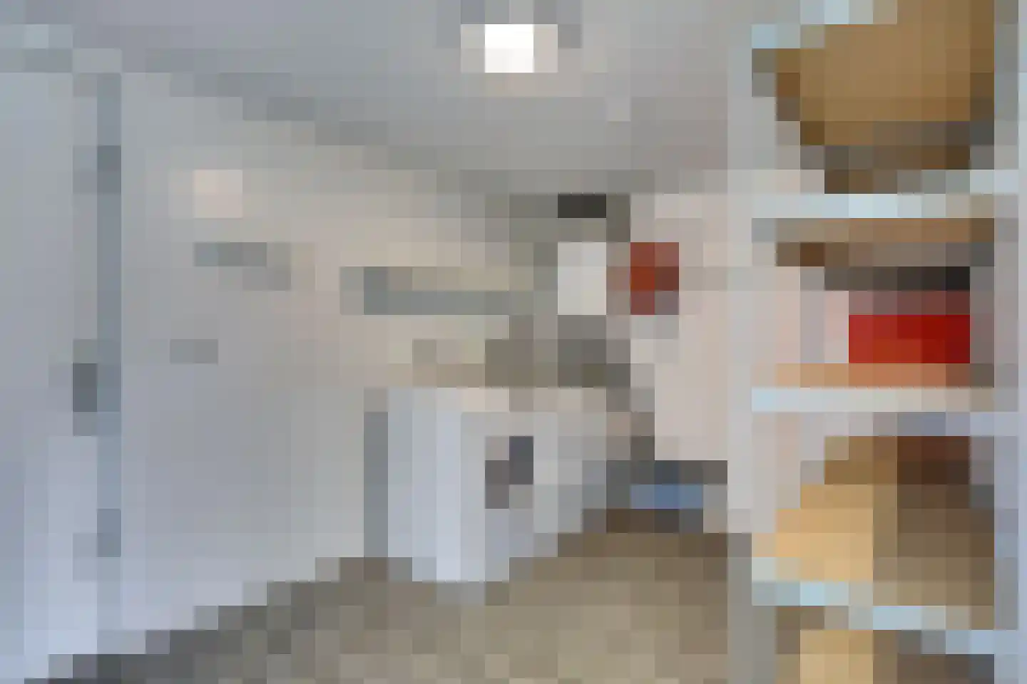 van Hogendorpstraat 18 Twello thumbnail 21