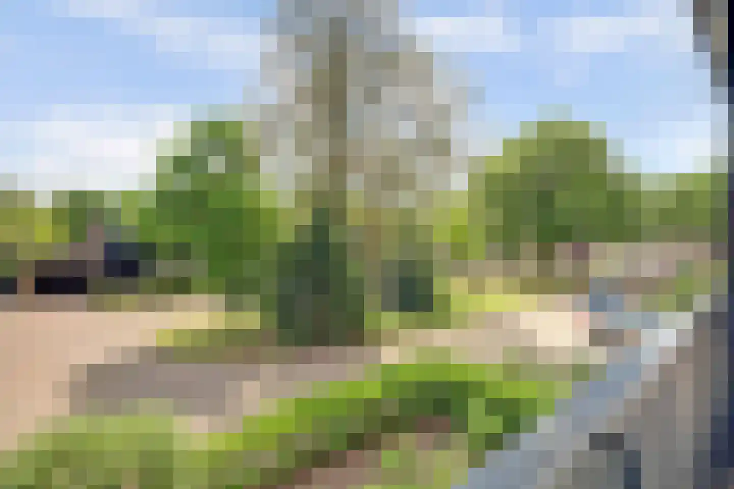 van Hogendorpstraat 18 Twello thumbnail 32