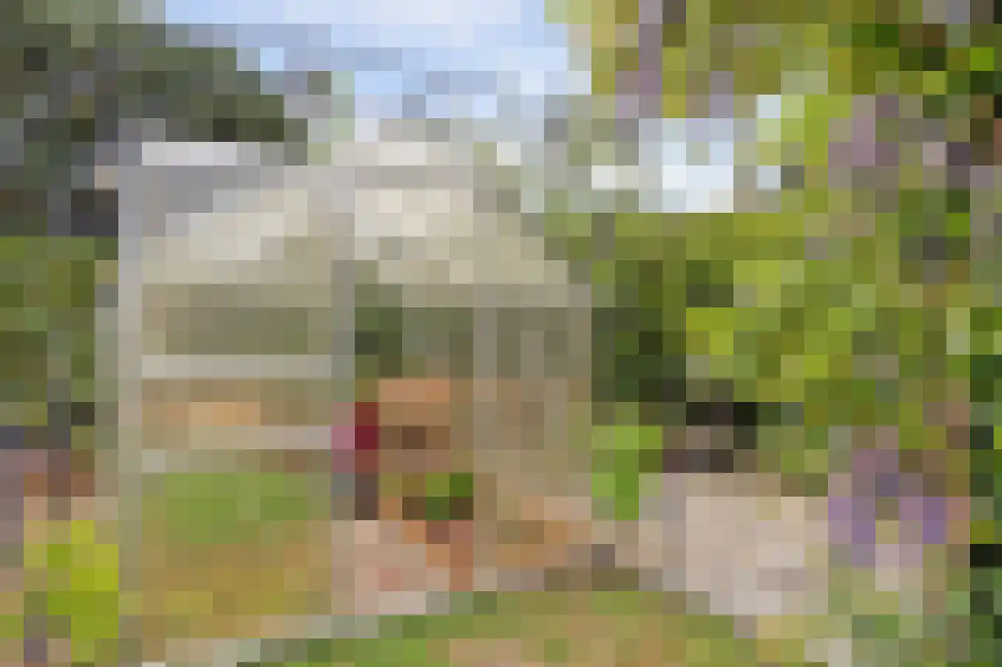 van Hogendorpstraat 18 Twello thumbnail 38