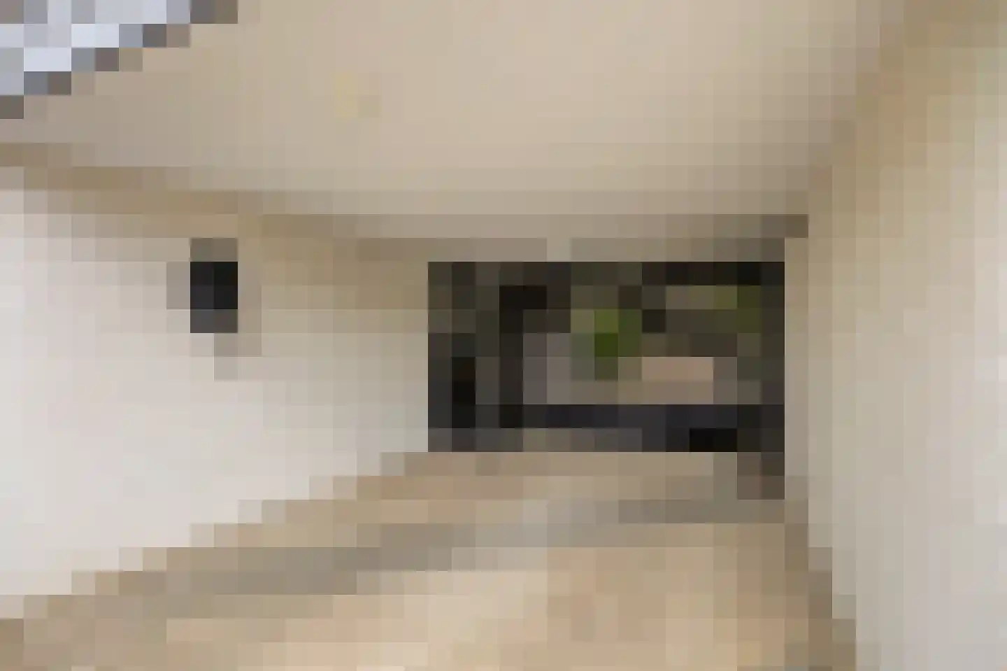 van Hogendorpstraat 18 Twello thumbnail 4