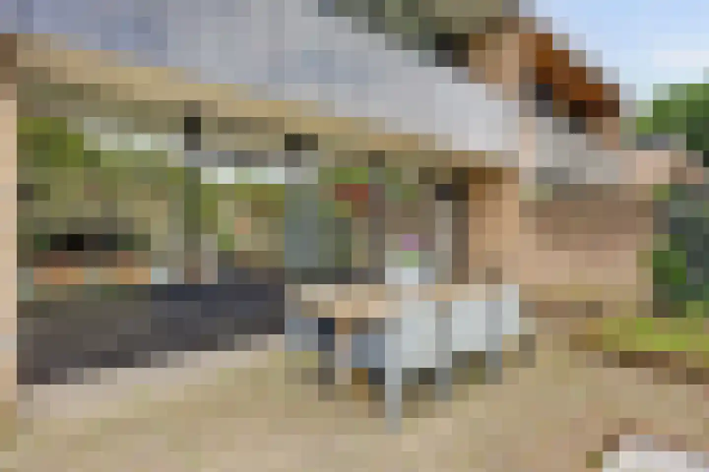 van Hogendorpstraat 18 Twello thumbnail 44