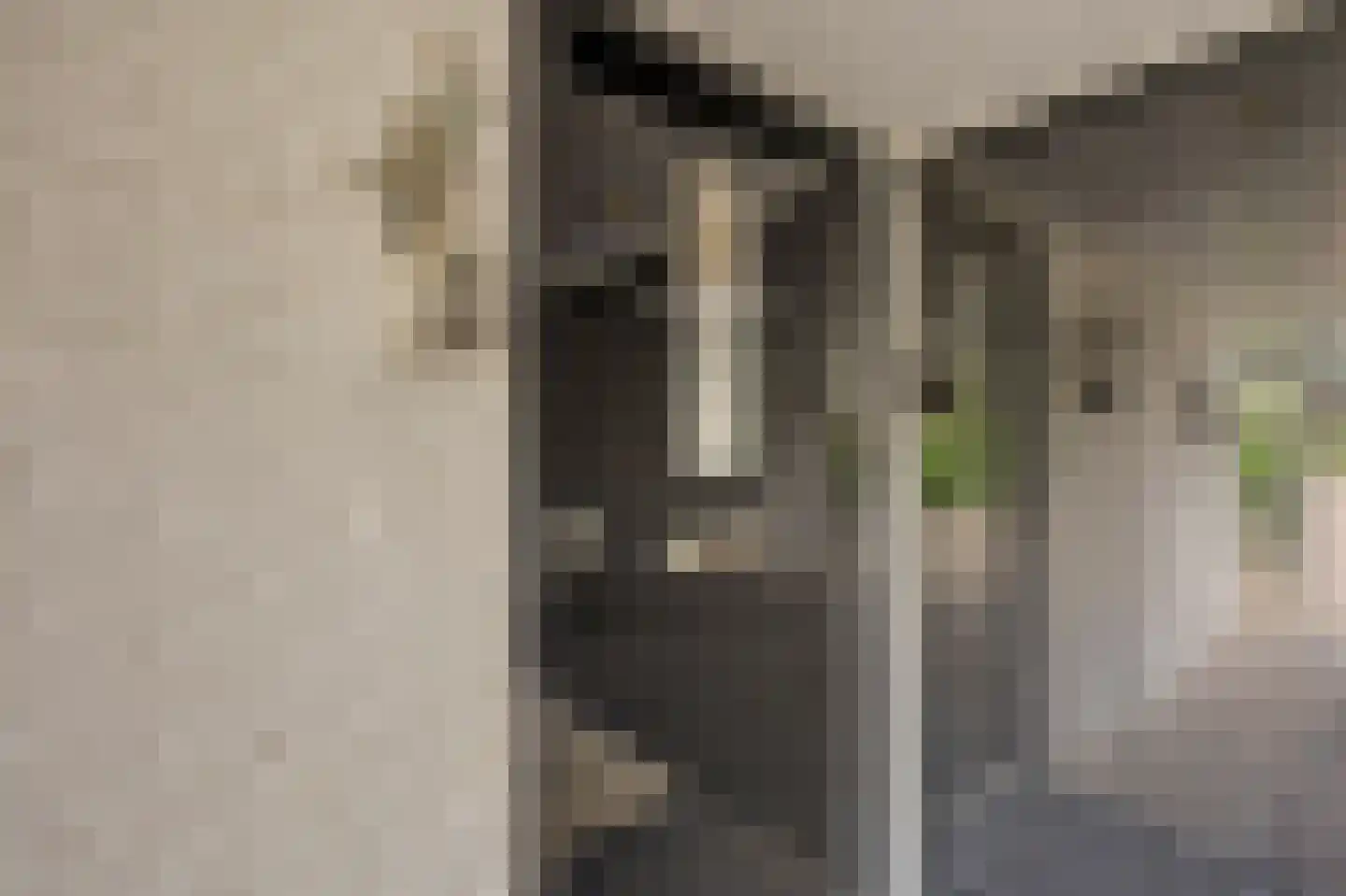 van Hogendorpstraat 18 Twello thumbnail 5