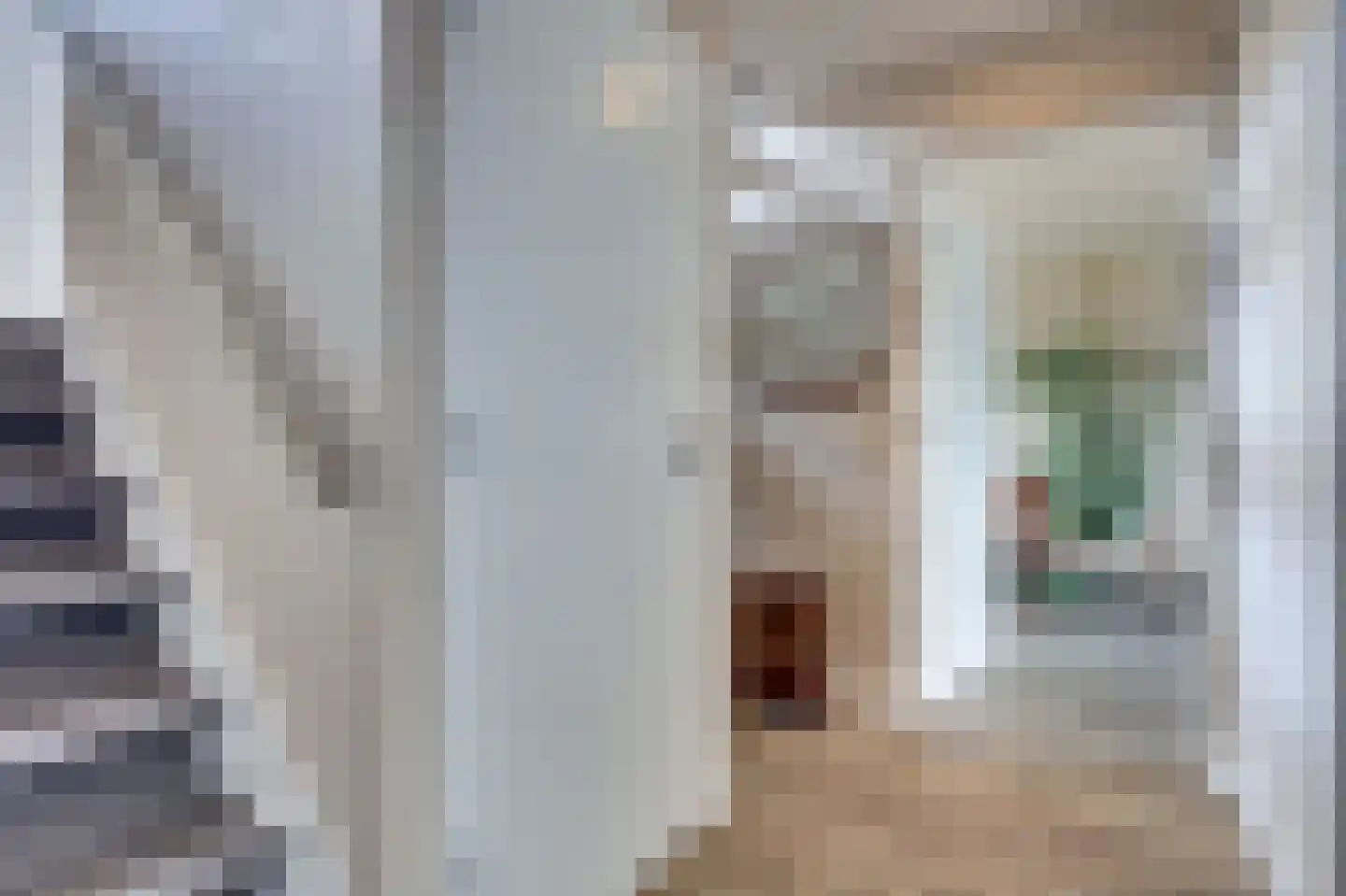 van Hogendorpstraat 18 Twello thumbnail 6