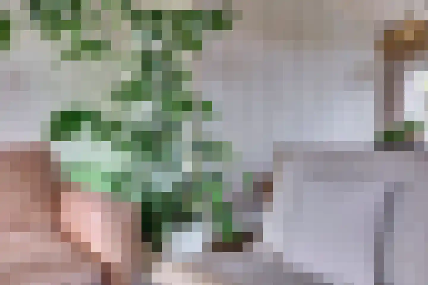 van Hogendorpstraat 18 Twello thumbnail 9