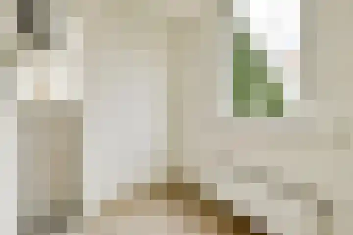 Van Hogendorpstraat 181 1 Amsterdam thumbnail 21