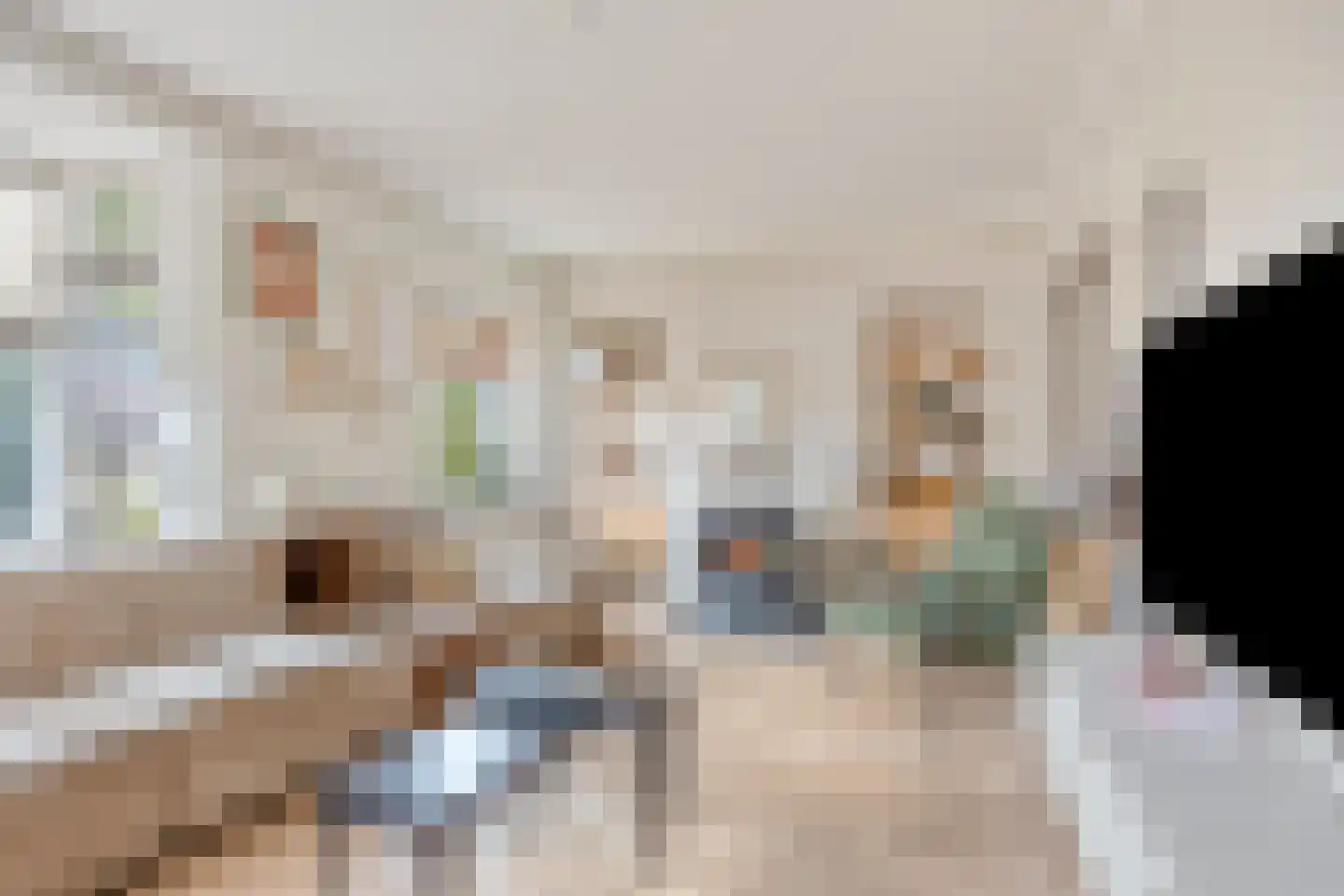 Van Hogendorpstraat 2 Veenendaal thumbnail 11