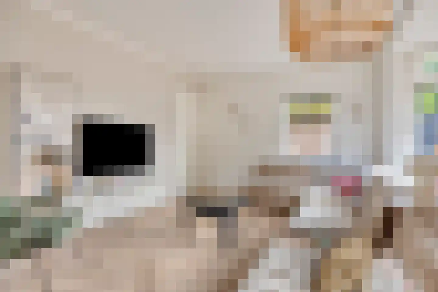 Van Hogendorpstraat 2 Veenendaal thumbnail 12