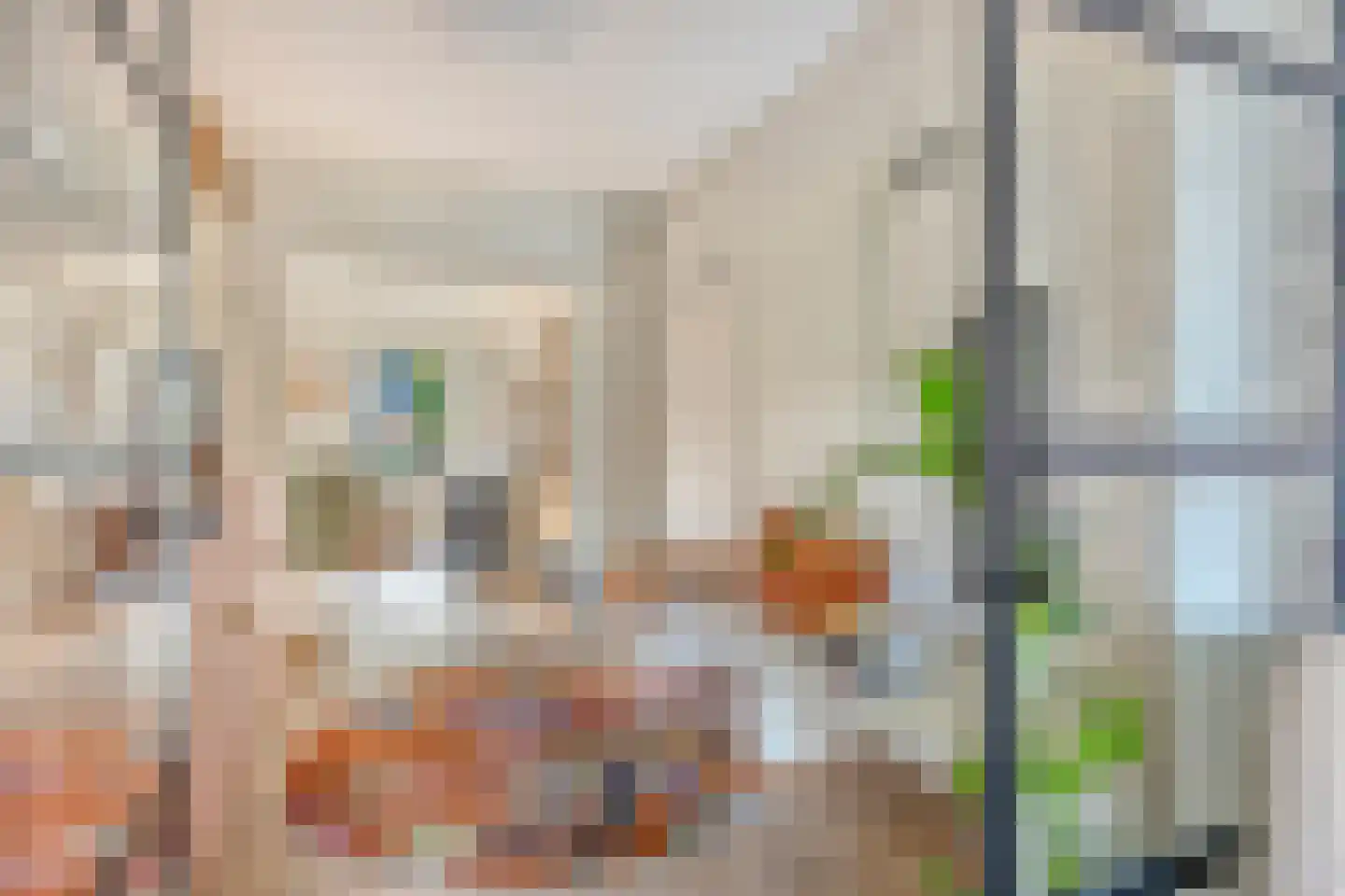 Van Hogendorpstraat 2 Veenendaal thumbnail 16