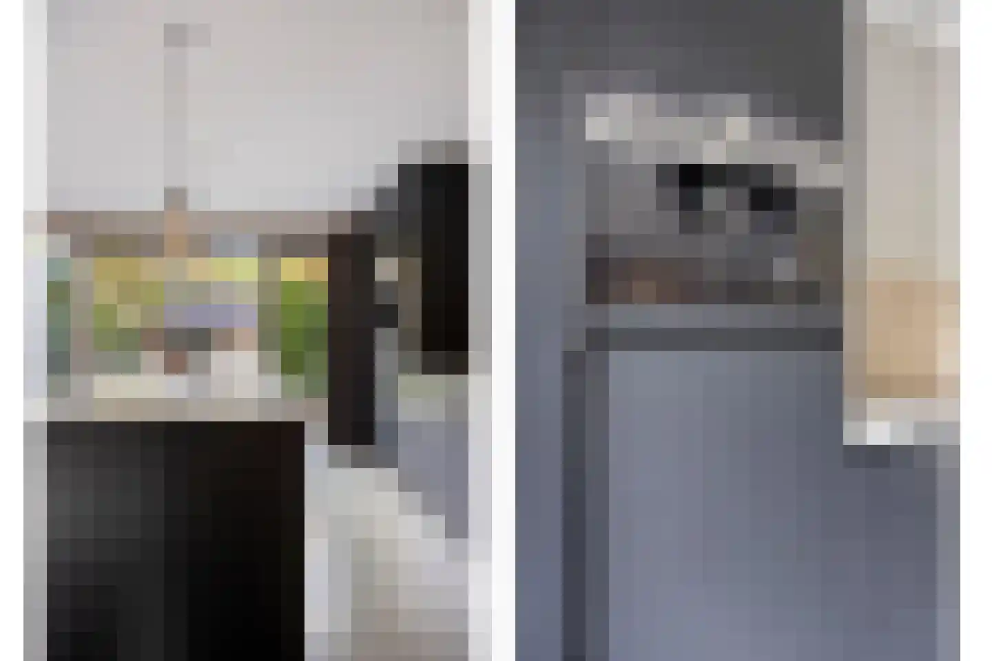 Van Hogendorpstraat 2 Veenendaal thumbnail 23