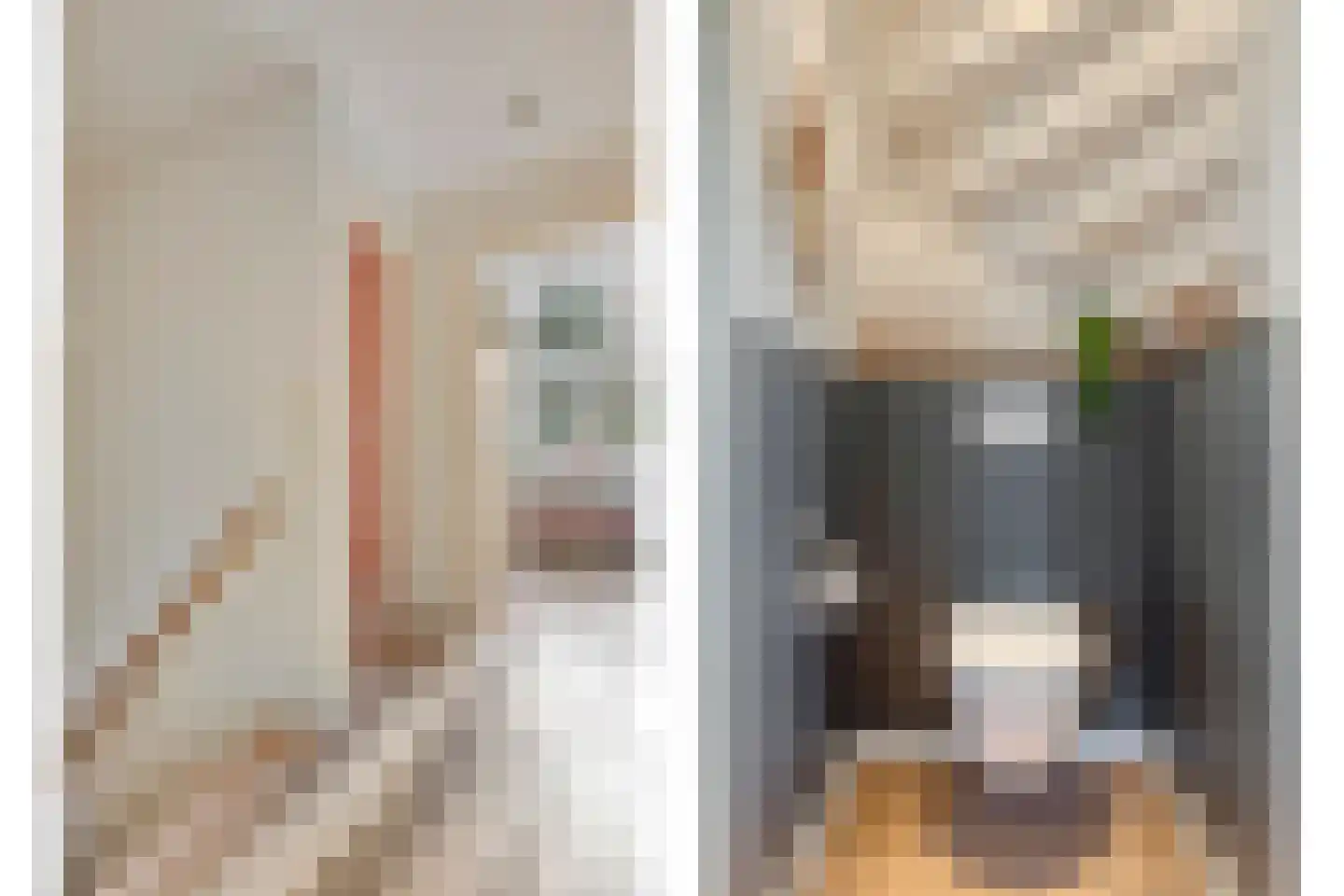Van Hogendorpstraat 2 Veenendaal thumbnail 25