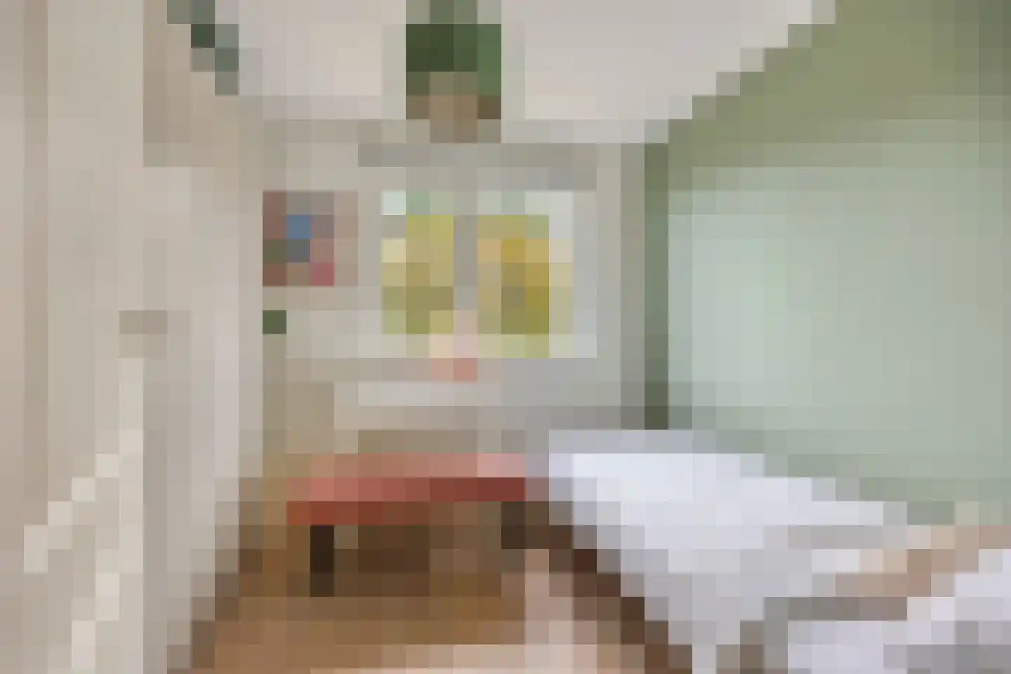 Van Hogendorpstraat 2 Veenendaal thumbnail 28
