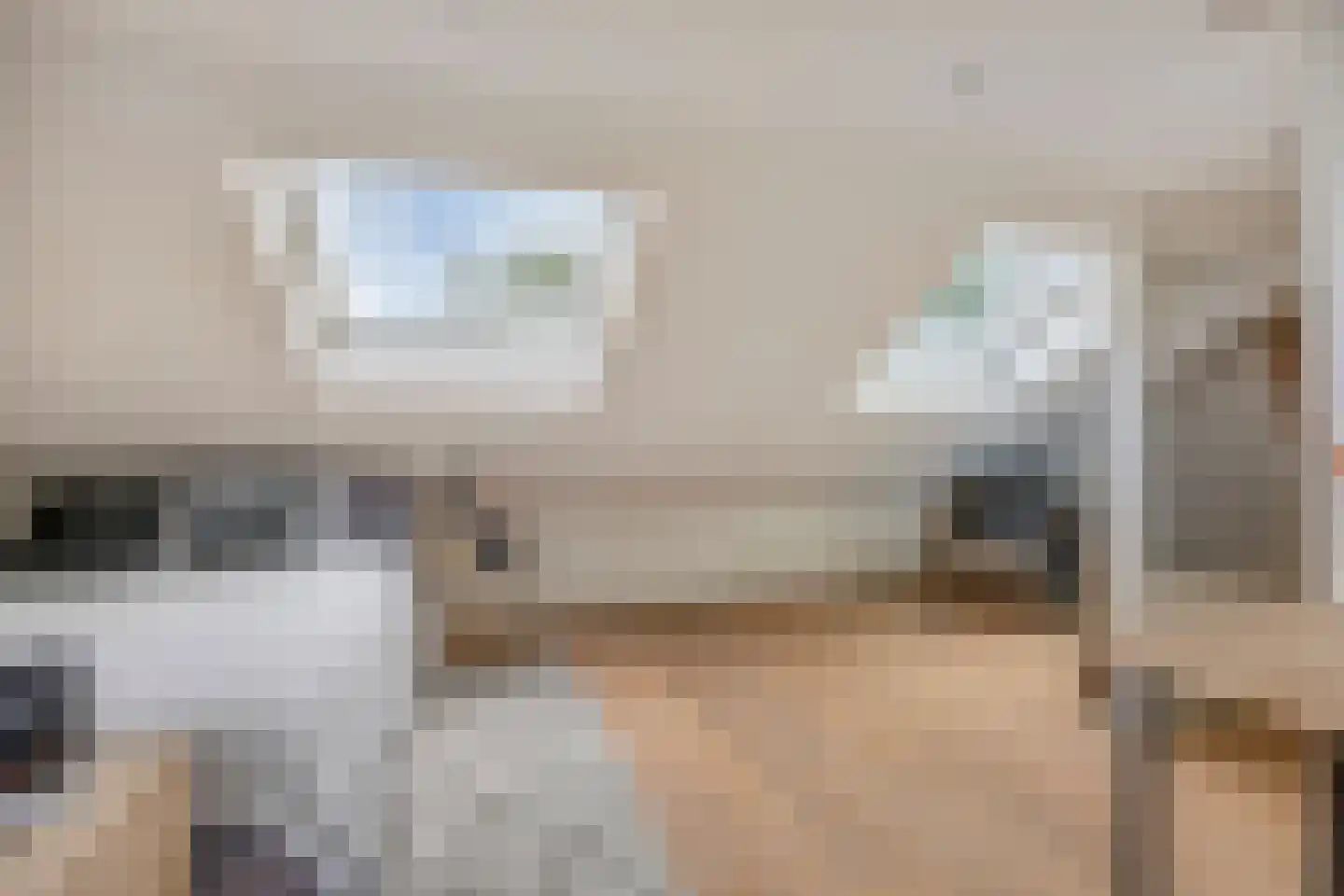 Van Hogendorpstraat 2 Veenendaal thumbnail 32