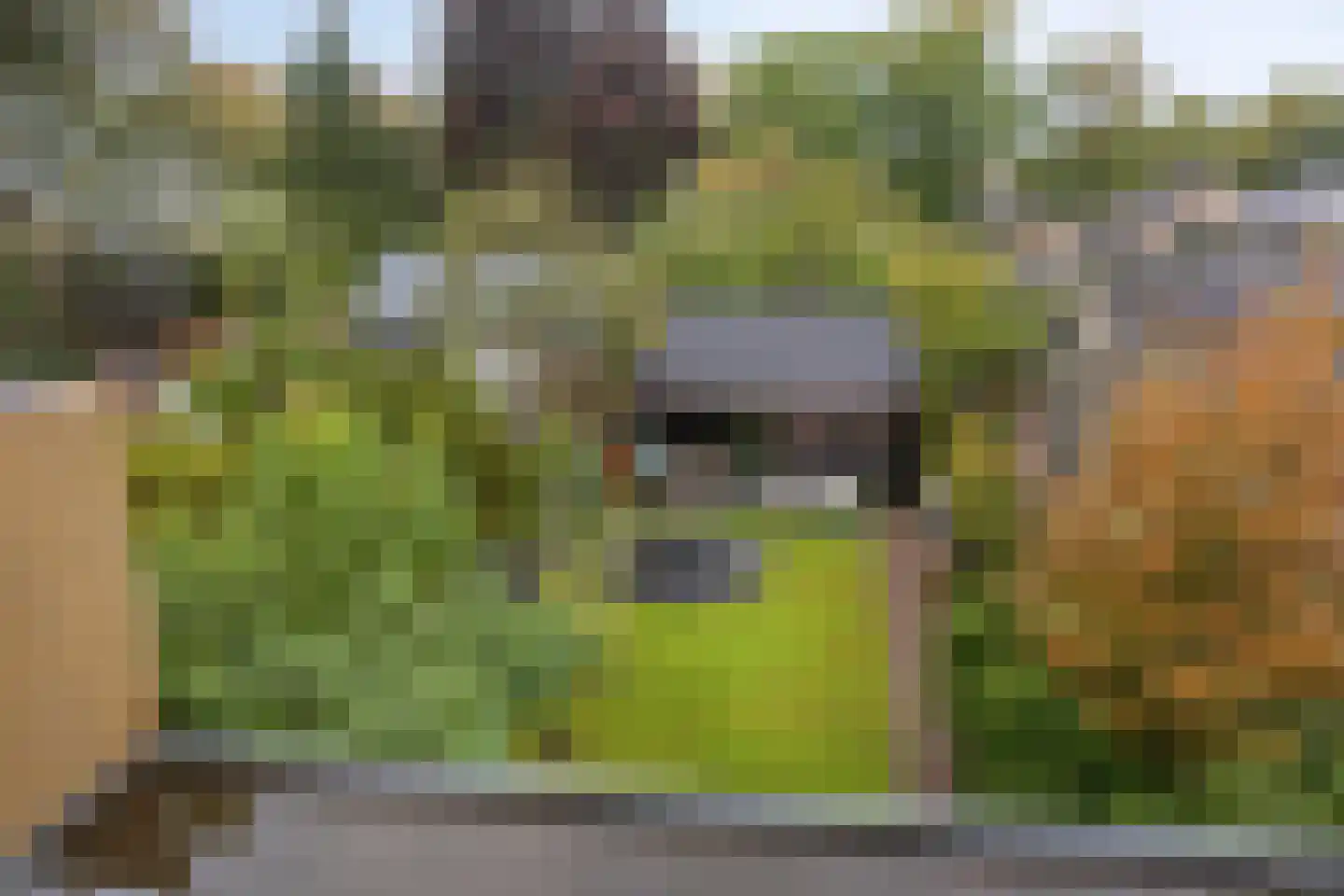 Van Hogendorpstraat 2 Veenendaal thumbnail 35