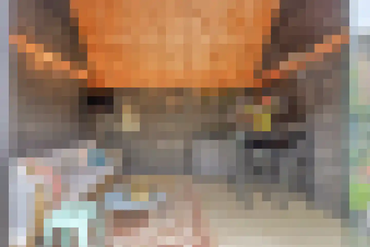 Van Hogendorpstraat 2 Veenendaal thumbnail 39