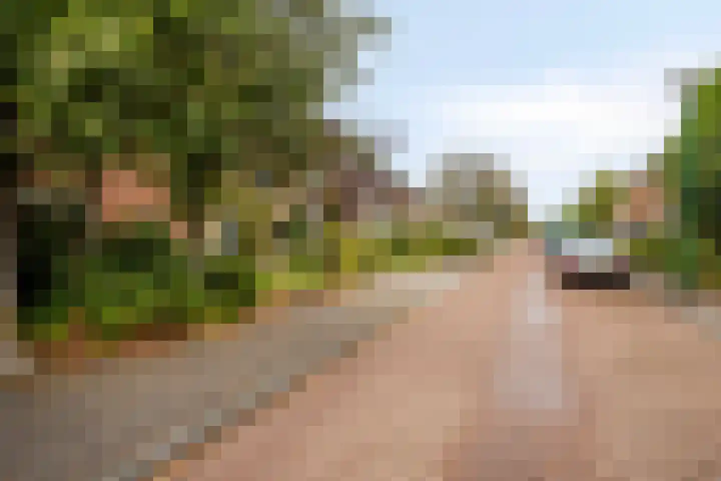 Van Hogendorpstraat 2 Veenendaal thumbnail 43