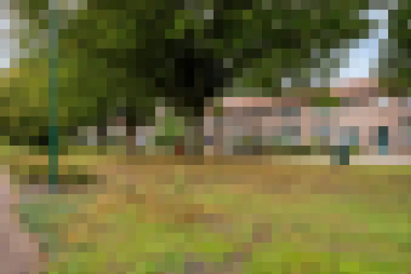 Van Hogendorpstraat 2 Veenendaal thumbnail 44