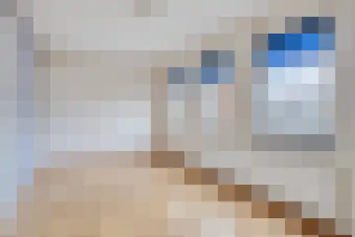 van Hogendorpstraat 22 Hoogezand thumbnail 12