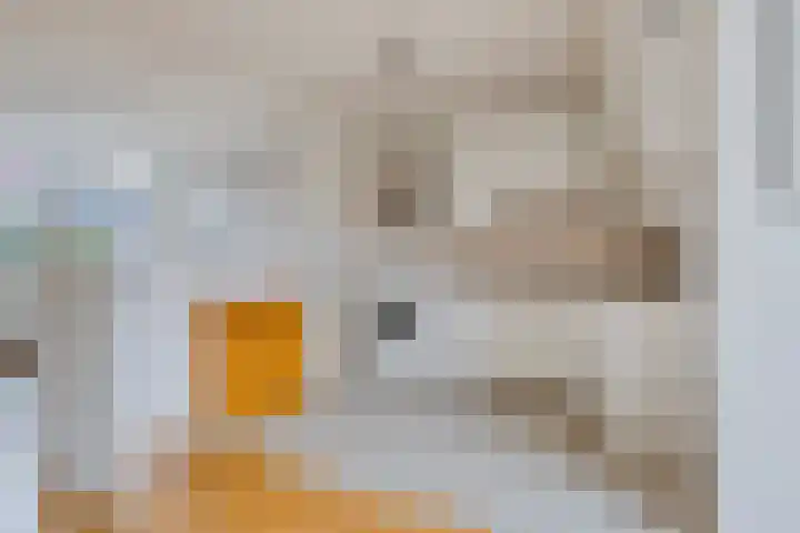 van Hogendorpstraat 22 Hoogezand thumbnail 9
